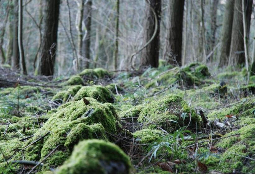 צימר ô Lit De L Ourthe