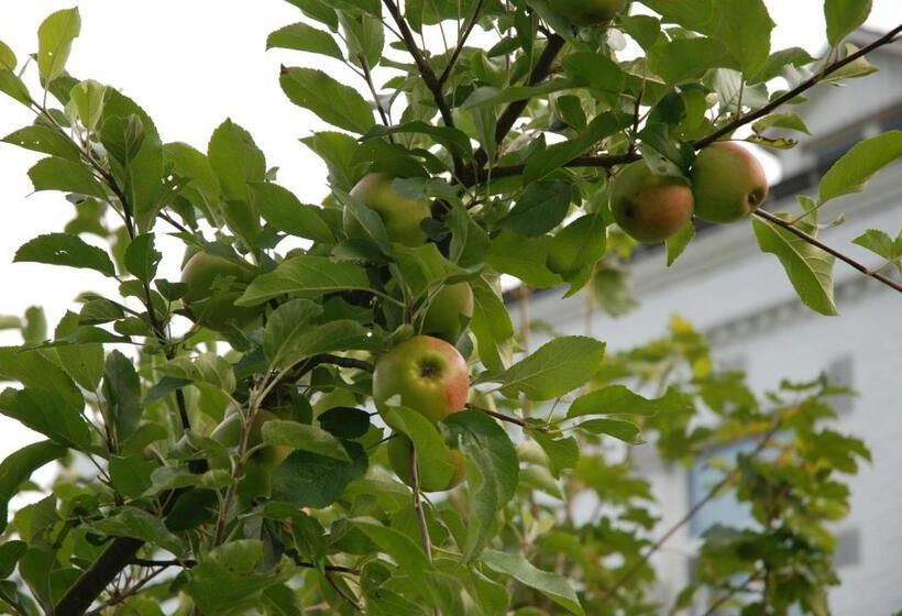 צימר ô Lit De L Ourthe