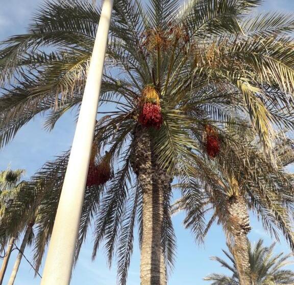 تختخواب و صبحانه Private Room Romantic Area