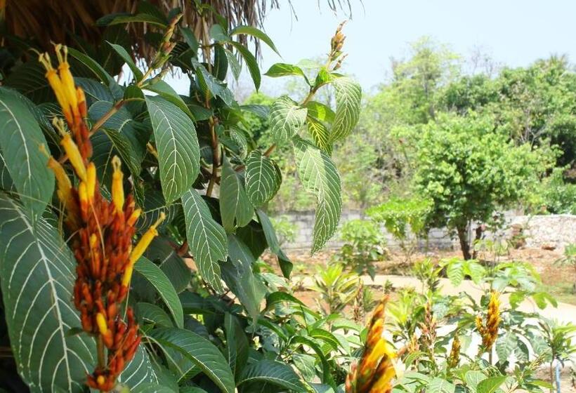 تختخواب و صبحانه Sunset Bungalow