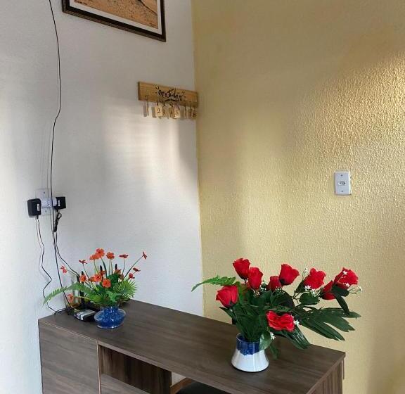 Dormitório E Hostel São Francisco