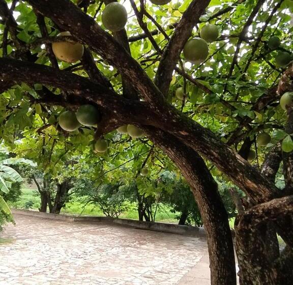 Отель Guataqui Puerto Principal