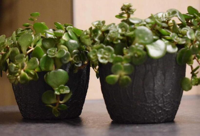 בית מלון כפרי Haus Bianca