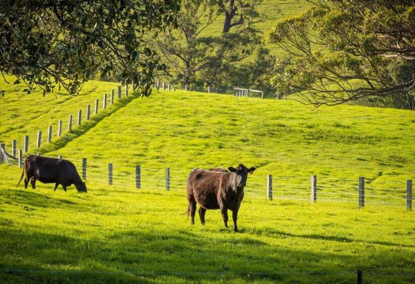 בית מלון כפרי Henkley Cottage 3 Ezekiel