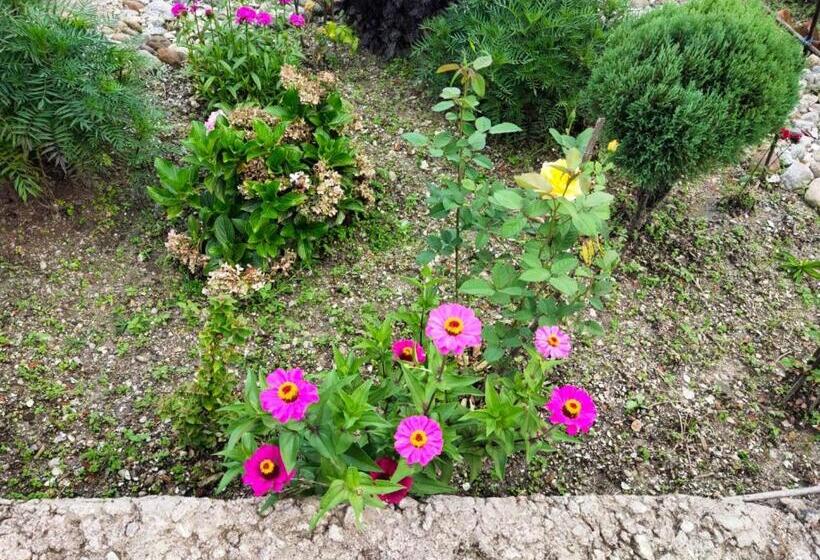 ホテル K P R Resort Tejas   Couple Friendly Resort