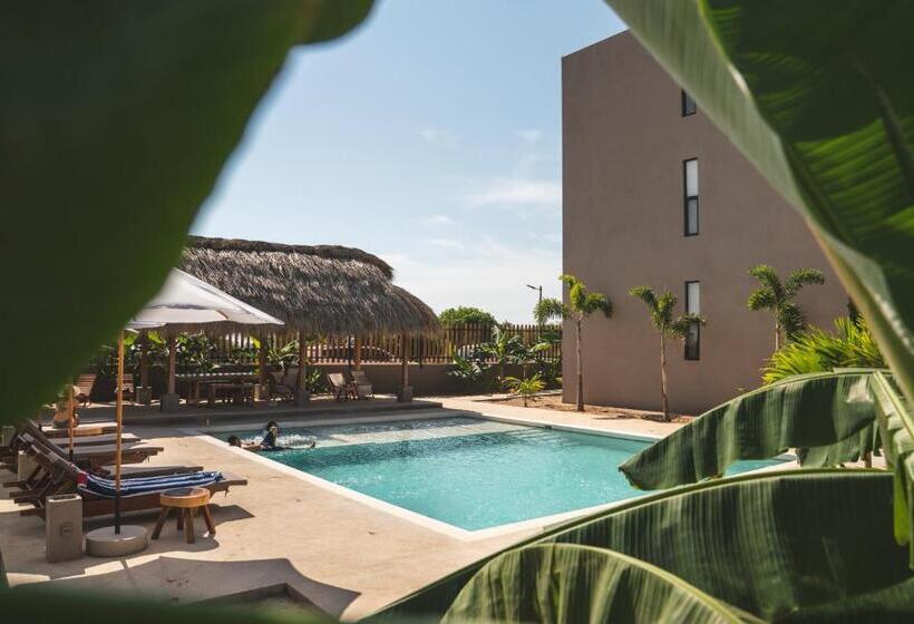 فندق La Barra Resorts Puerto Escondido