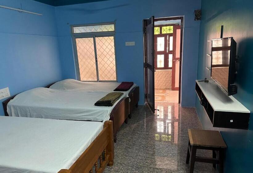 Отель New Ananda Lodge