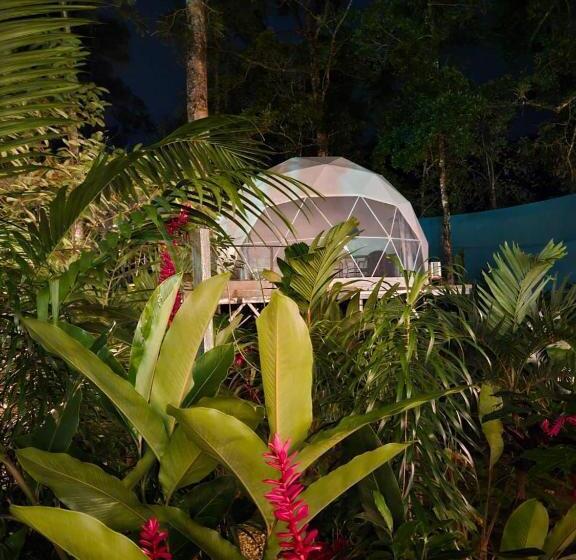 Отель Palo Alto Glamping