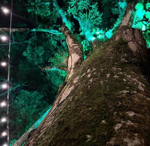 Отель Palo Alto Glamping