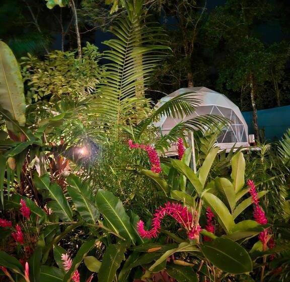 Отель Palo Alto Glamping