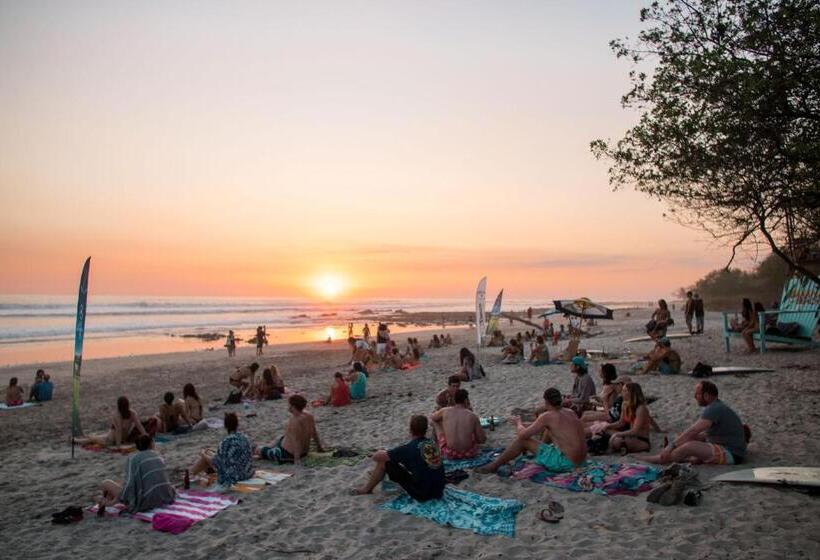 ホテル Peace Lofts And Apartments