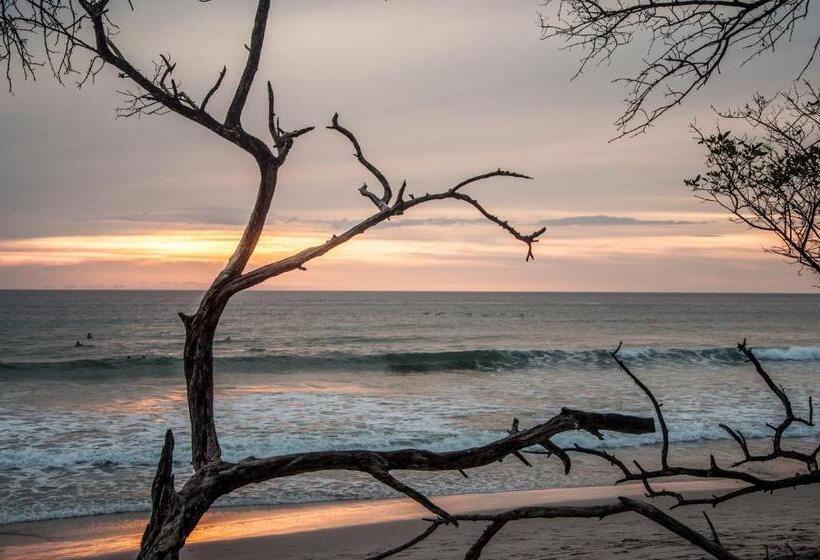 ホテル Peace Lofts And Apartments