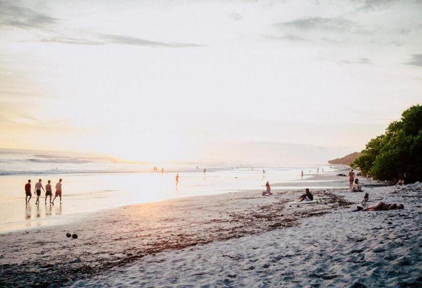 ホテル Peace Lofts And Apartments