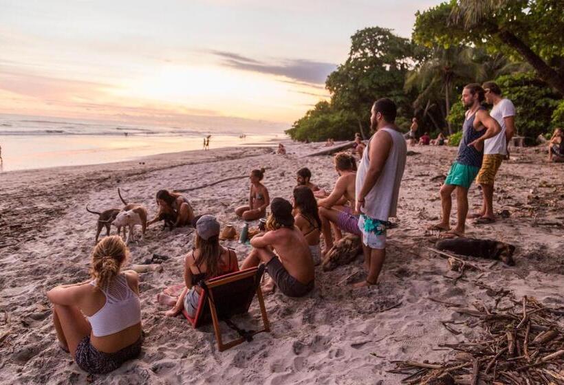 ホテル Peace Lofts And Apartments