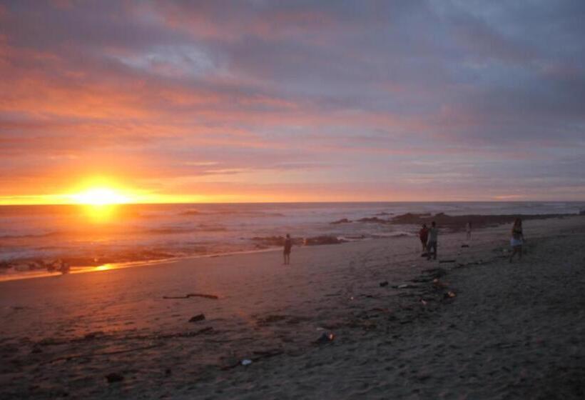 ホテル Peace Lofts And Apartments