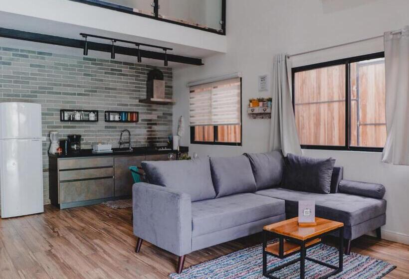 ホテル Peace Lofts And Apartments