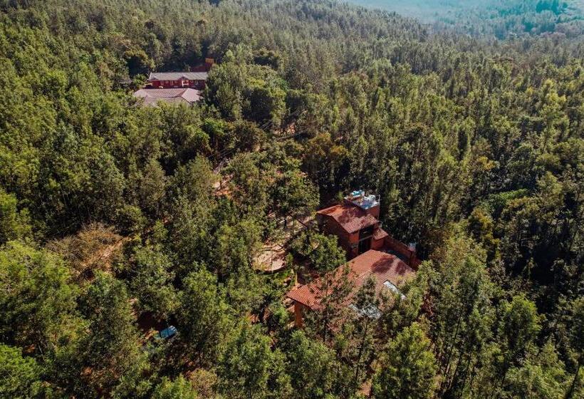 호텔 Sereno Barn Eco Stay Chikmagalur