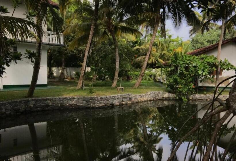 酒店 Shanon Lake Villa Surf Lodge