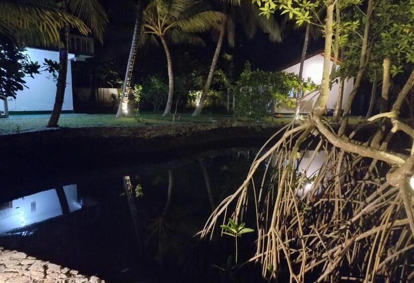 酒店 Shanon Lake Villa Surf Lodge