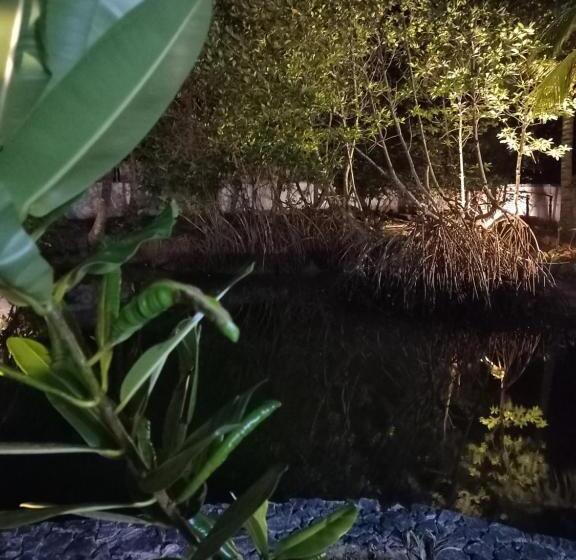 酒店 Shanon Lake Villa Surf Lodge