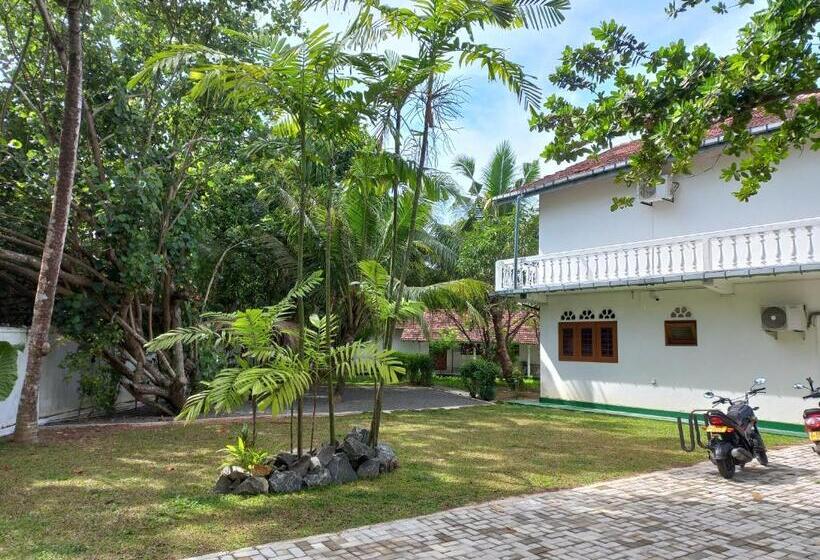 酒店 Shanon Lake Villa Surf Lodge