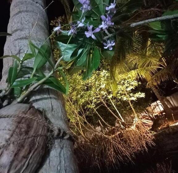 酒店 Shanon Lake Villa Surf Lodge