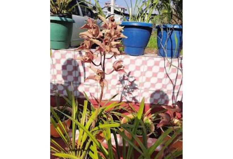 בית מלון כפרי Siniolchu Pelling , New Helipad Road , Pelling , Sikkim