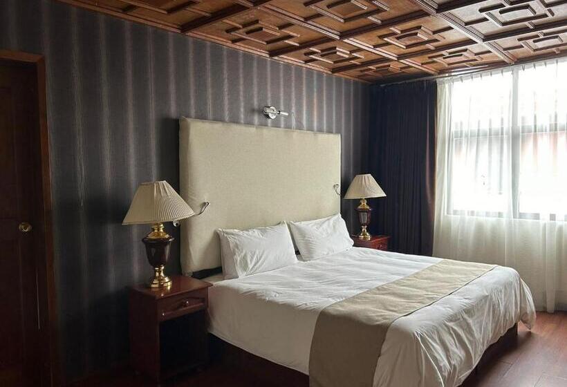 Отель Suites Virreynal