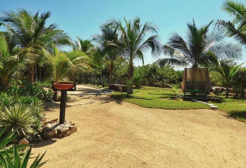 Ocean Oasis Hotel   Adult Only, Four Casitas Boutique Resort