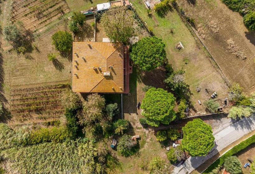 Orbetello Giannella Apartment