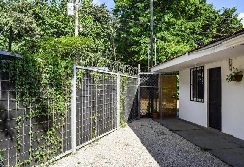 ペンション Caprichos Rooms