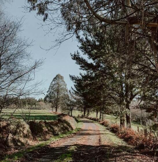 ペンション Casa Do Cuco   Rural House