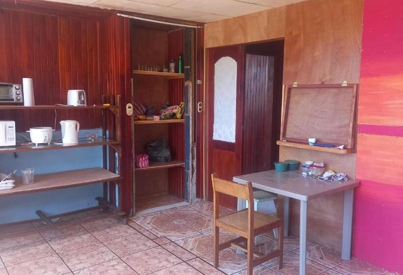 膳宿费 Finca Pantera