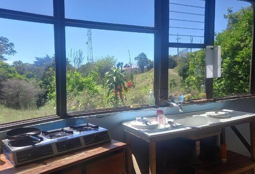 膳宿费 Finca Pantera