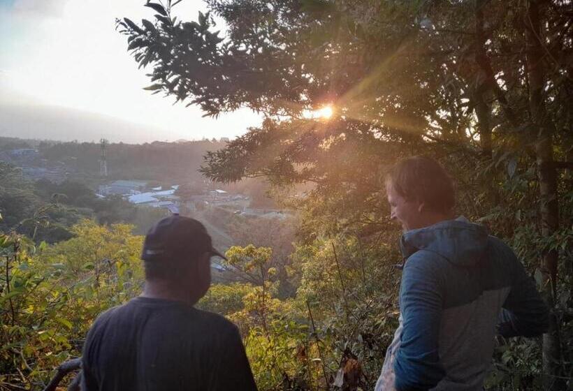 膳宿费 Finca Pantera