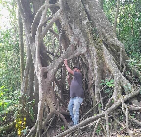 膳宿费 Finca Pantera