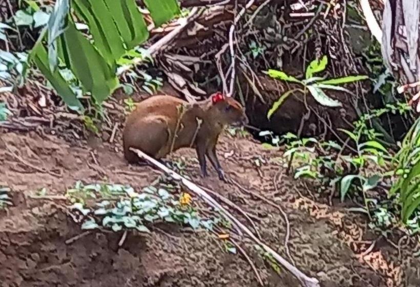 膳宿费 Finca Pantera