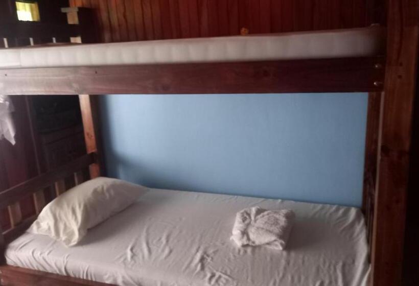 膳宿费 Finca Pantera