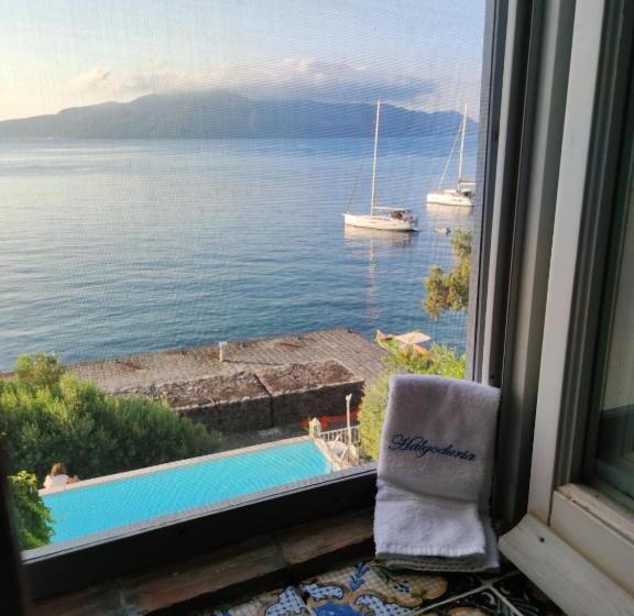 بنسيون Halgoduria