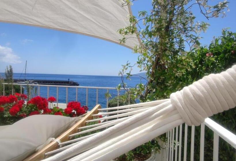 بنسيون Halgoduria