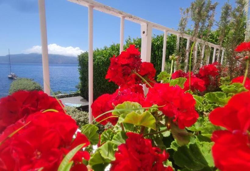 بنسيون Halgoduria