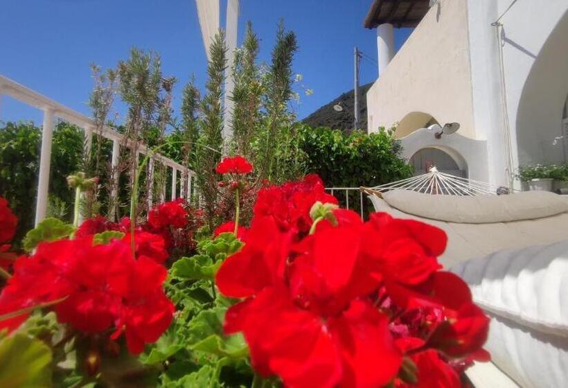 بنسيون Halgoduria