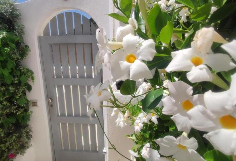 بنسيون Halgoduria