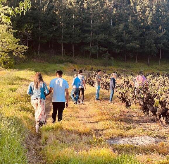 פנסיון Hostal Ninhue