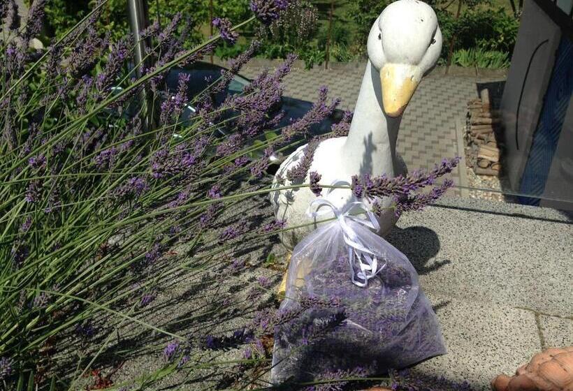 膳宿费 Maison De La Sauer   Bed And Breakfast | Chambre D’hôtes | Ferienhaus