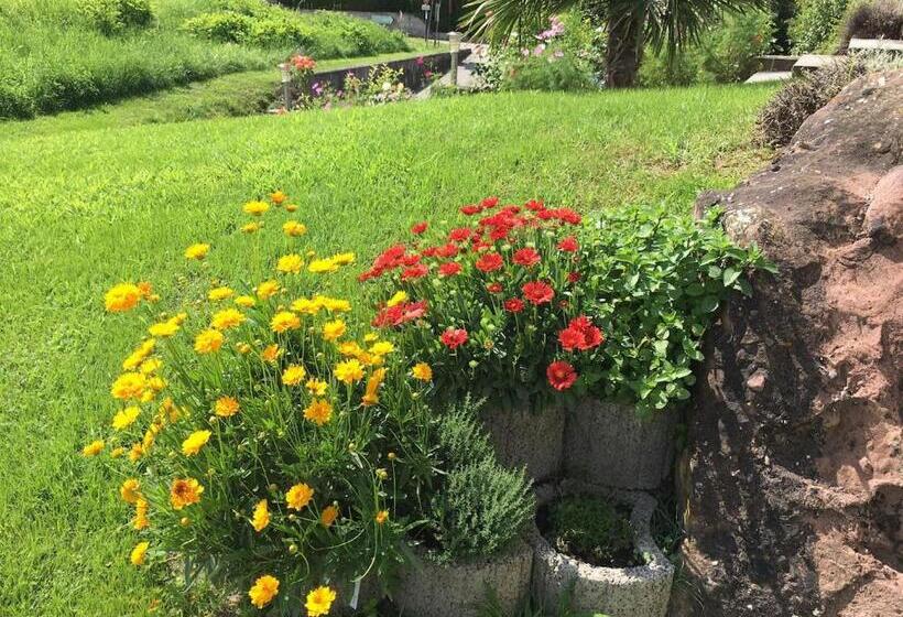 膳宿费 Maison De La Sauer   Bed And Breakfast | Chambre D’hôtes | Ferienhaus