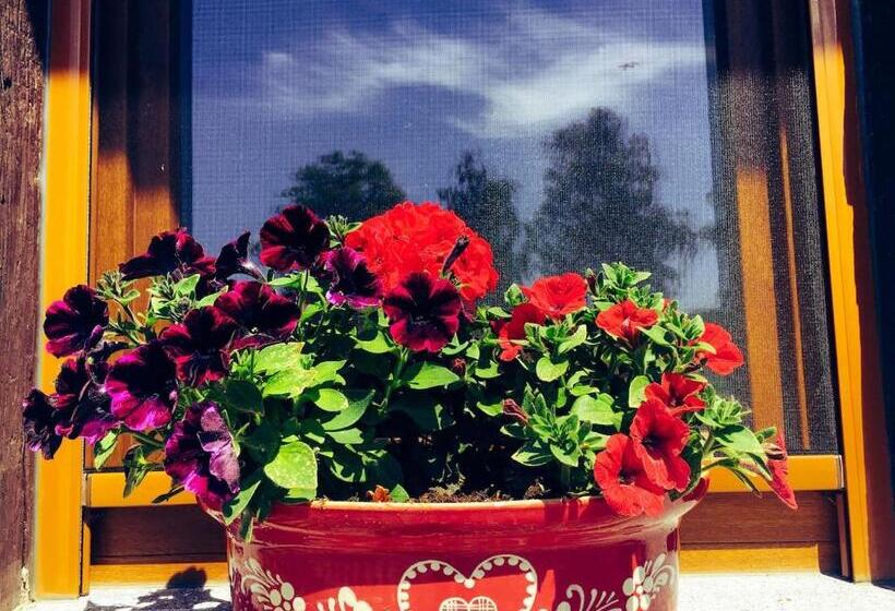 膳宿费 Maison De La Sauer   Bed And Breakfast | Chambre D’hôtes | Ferienhaus