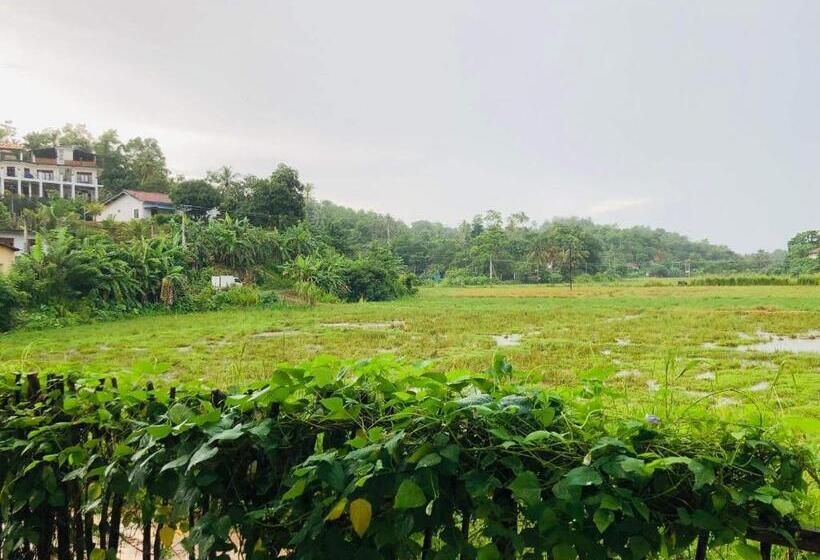 פנסיון Mirissa Dream Perk