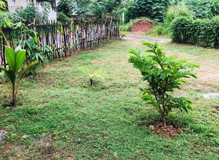 بنسيون Mirissa Dream Perk