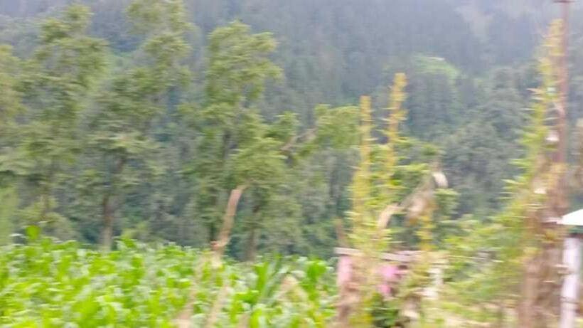 膳宿费 Oyo Home Jia Lal Homestay